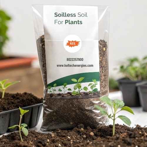 Soilless Soil for Plants: A Modern Way to Grow Green
