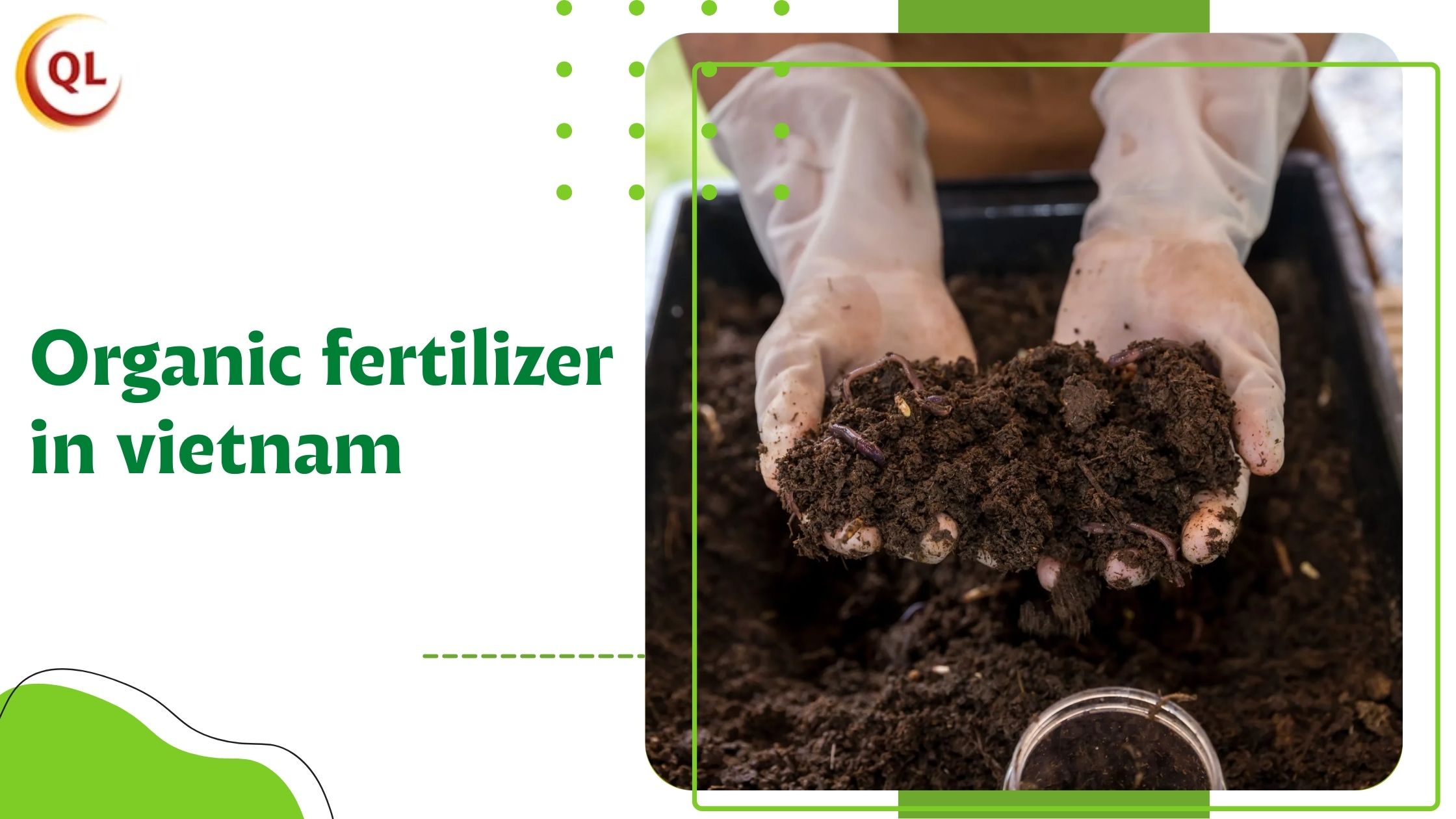 Growing Demand for Organic Fertilizer in Vietnam: Market Trends