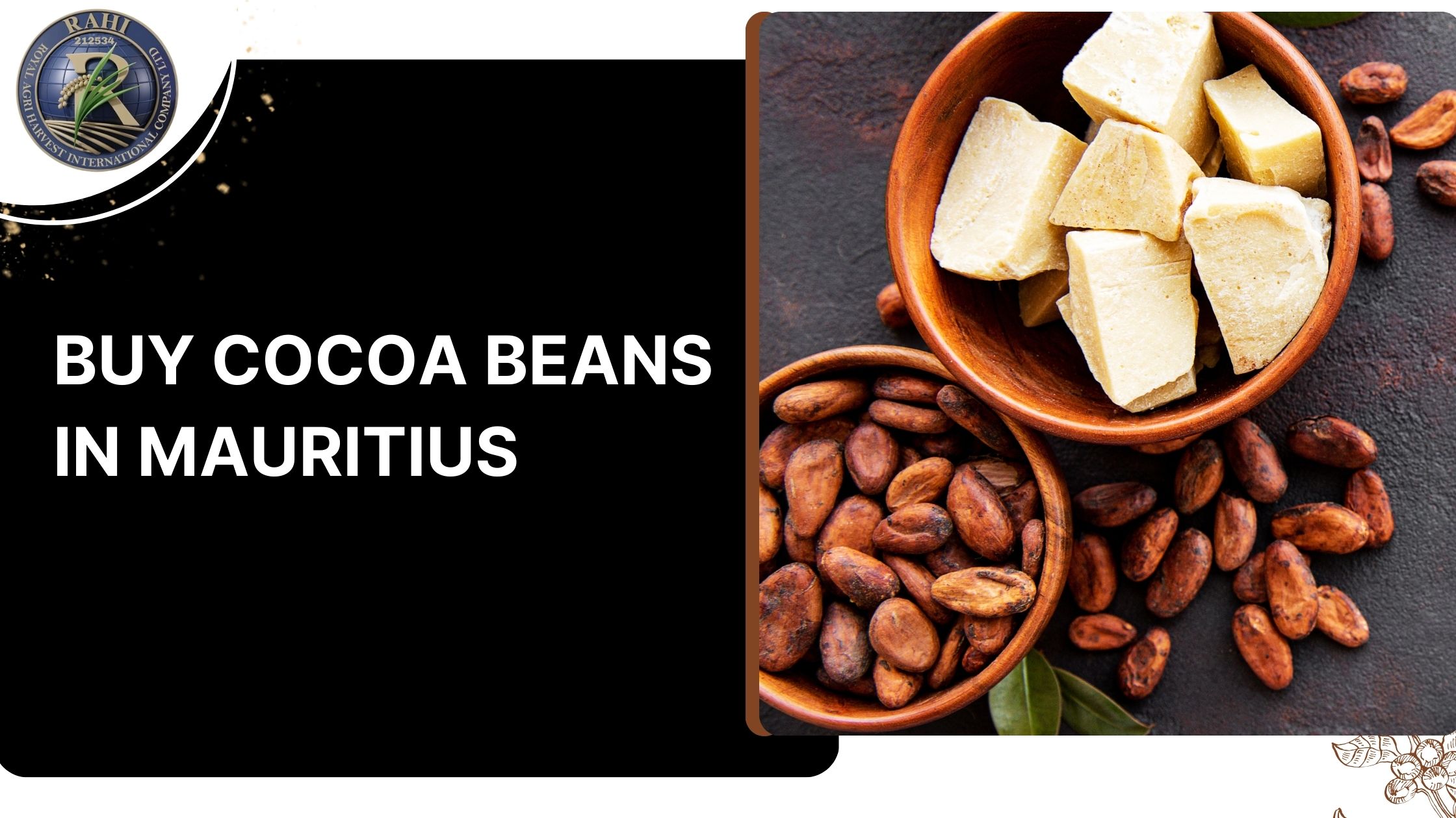 Top Reasons to Buy Cocoa Beans in Mauritius for Chocolate Production