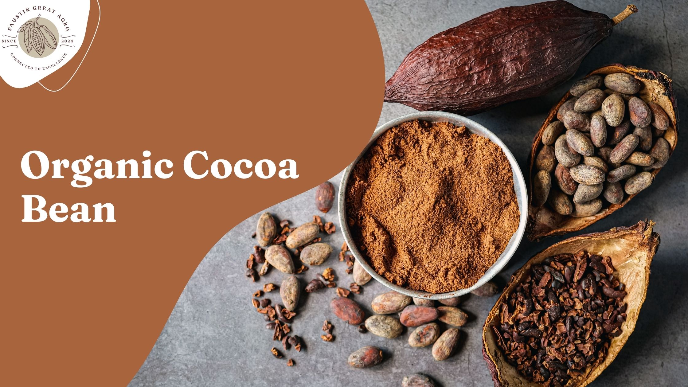 Organic Cocoa Bean Benefits for Chocolate and Beverage Manufacturers