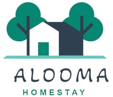 best places to stay in manali with friends | best places to stay in manali for snow